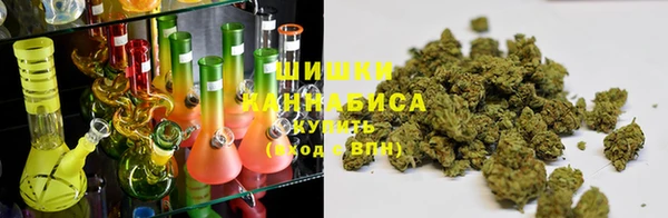 сатива Алексеевка