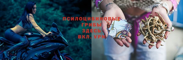 сатива Алексеевка