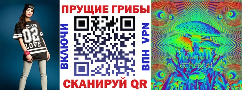 купить  сайты  Нурлат  Галлюциногенные грибы мицелий 
